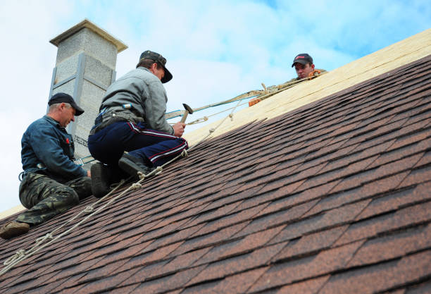Best Storm Damage Roof Repair  in Tamiami, FL